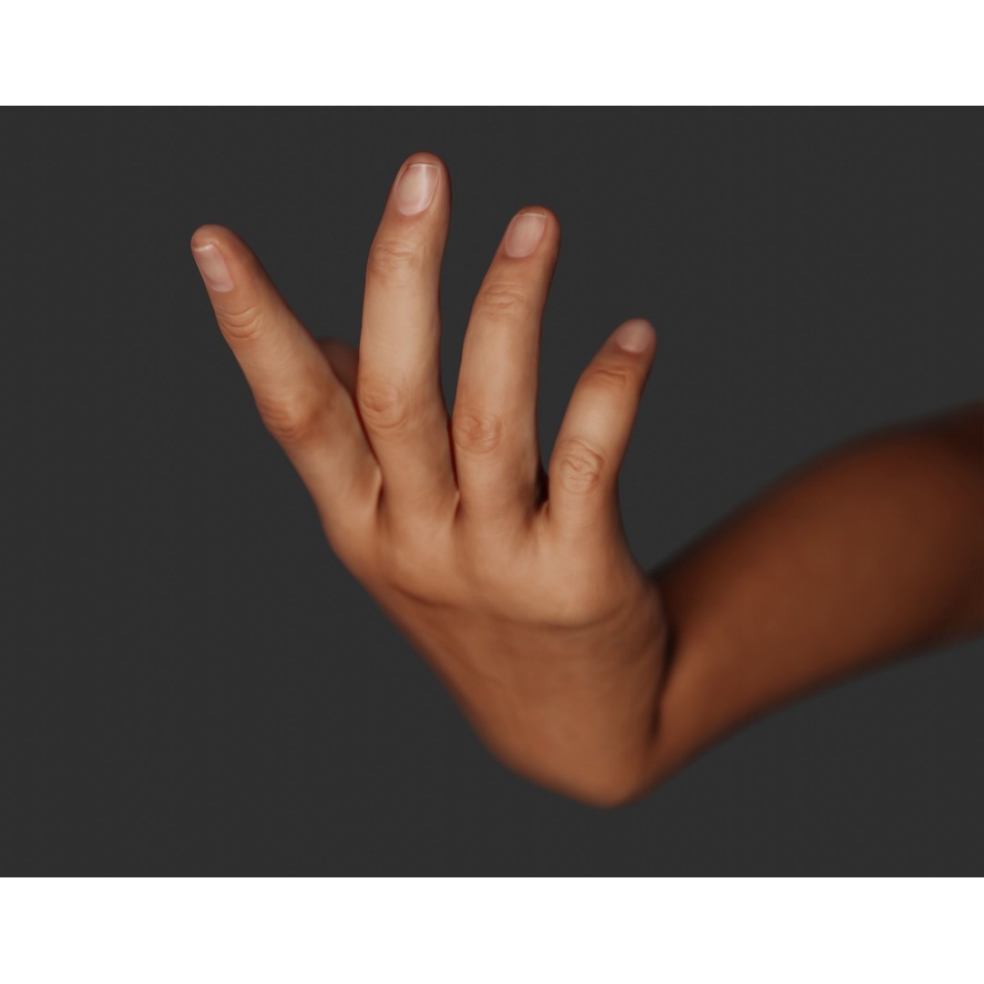 Female Right Hand 3D Model – Rigged Low-Poly Game Asset, Blender, FBX, OBJ - View 6