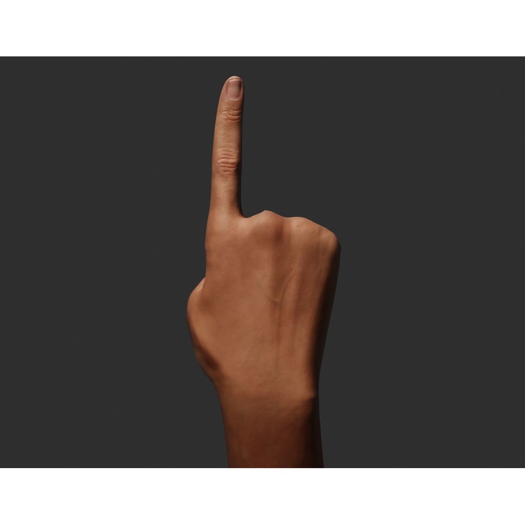 Female Right Hand 3D Model – Rigged Low-Poly Game Asset, Blender, FBX, OBJ - View 7