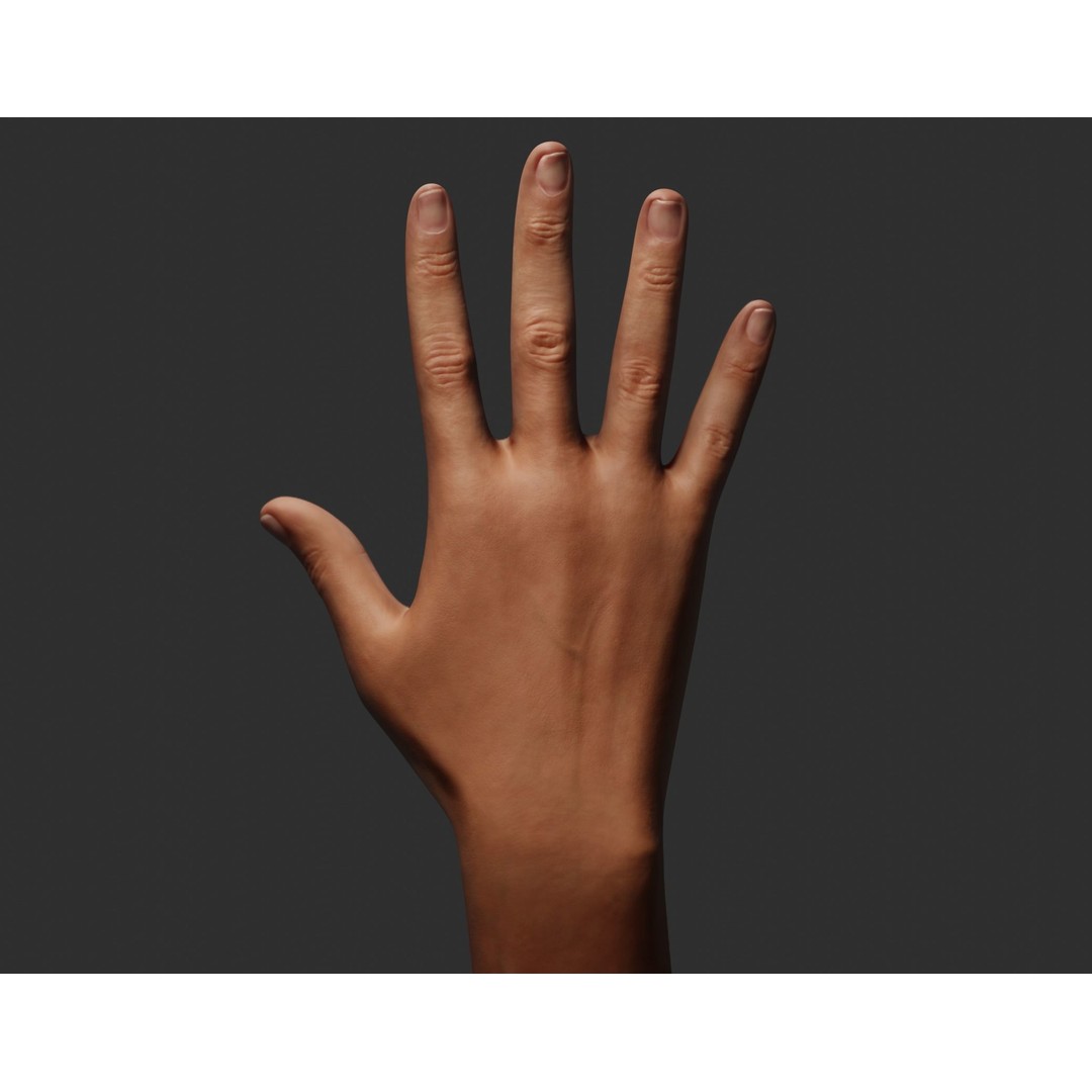 Female Right Hand 3D Model – Rigged Low-Poly Game Asset, Blender, FBX, OBJ - View 8