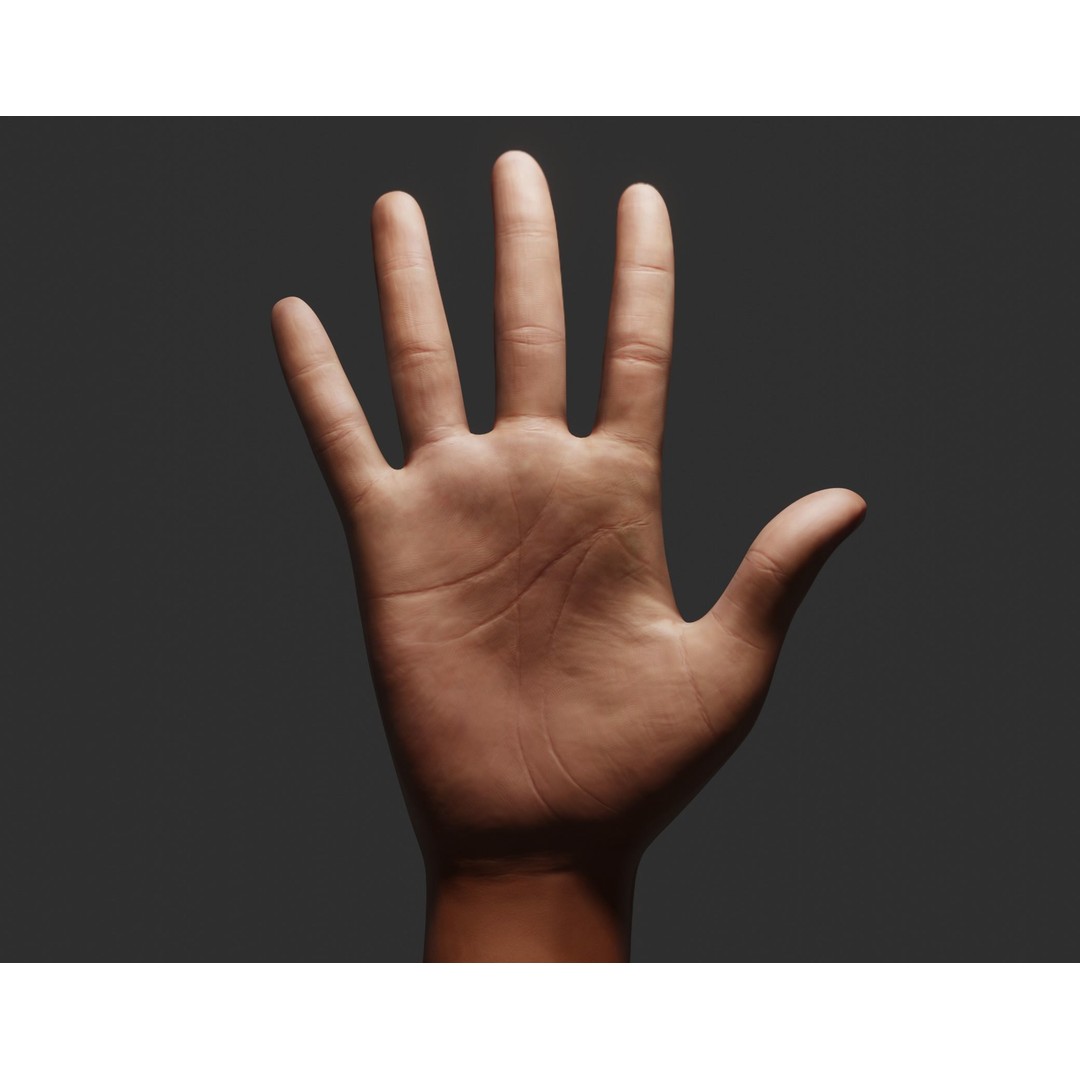 Female Right Hand 3D Model – Rigged Low-Poly Game Asset, Blender, FBX, OBJ - View 9