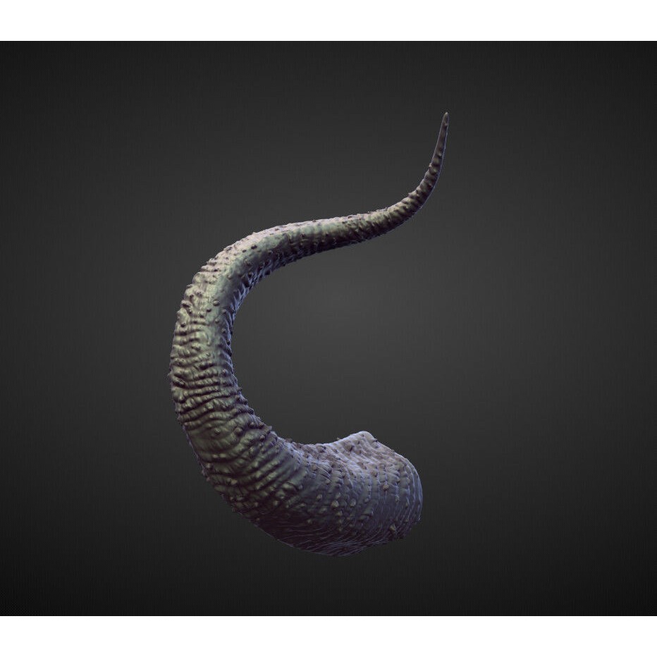 Horns 3D Model – High Poly Sculpt Collection for Blender