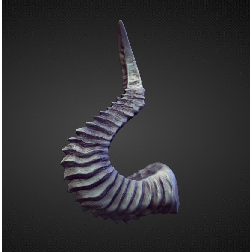 Horns 3D Model – High Poly Sculpt Collection for Blender - View 10