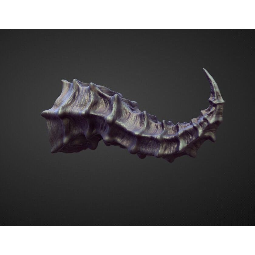 Horns 3D Model – High Poly Sculpt Collection for Blender - View 11