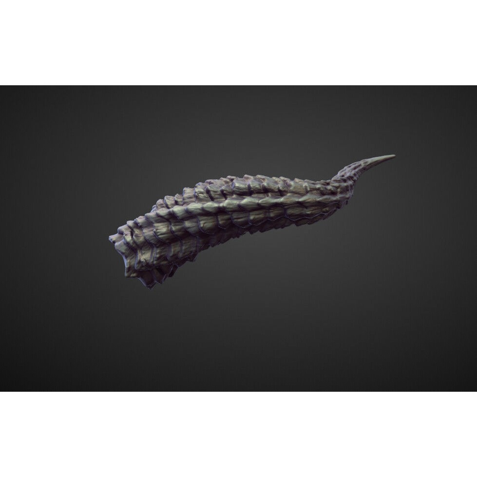 Horns 3D Model – High Poly Sculpt Collection for Blender - View 12