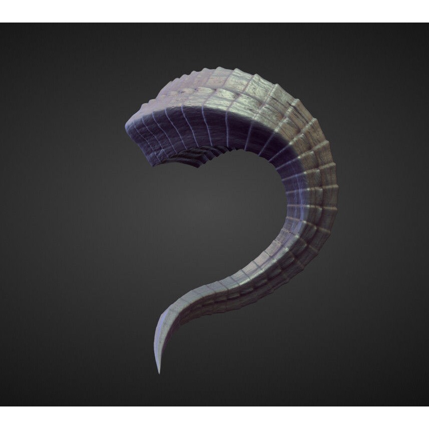 Horns 3D Model – High Poly Sculpt Collection for Blender - View 13