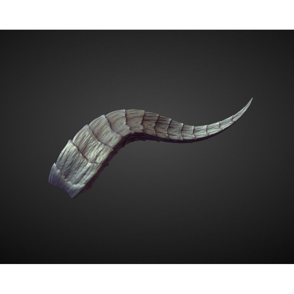 Horns 3D Model – High Poly Sculpt Collection for Blender - View 15