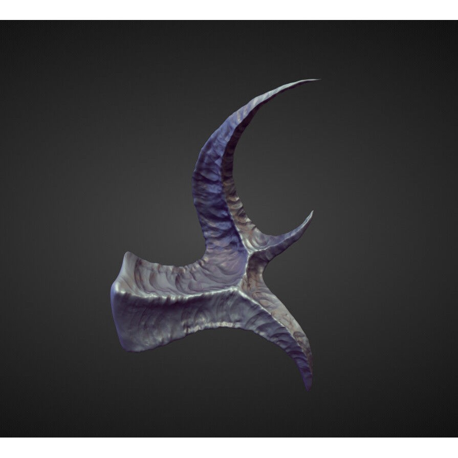 Horns 3D Model – High Poly Sculpt Collection for Blender - View 16