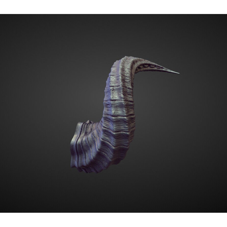 Horns 3D Model – High Poly Sculpt Collection for Blender - View 17