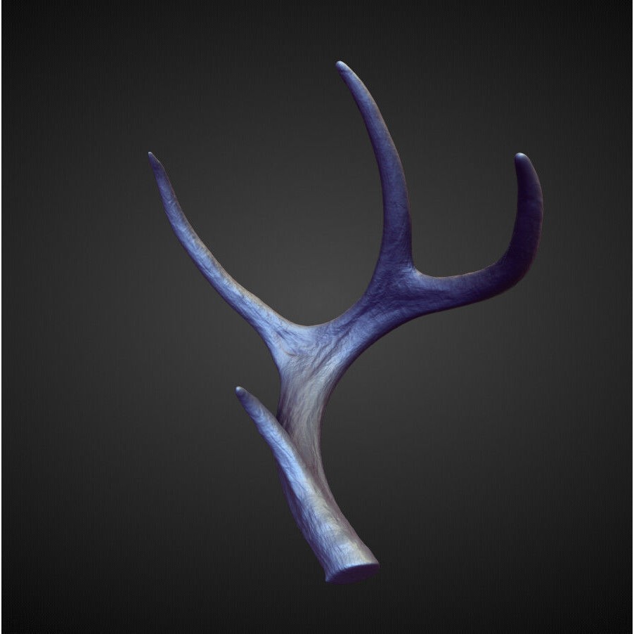 Horns 3D Model – High Poly Sculpt Collection for Blender - View 18