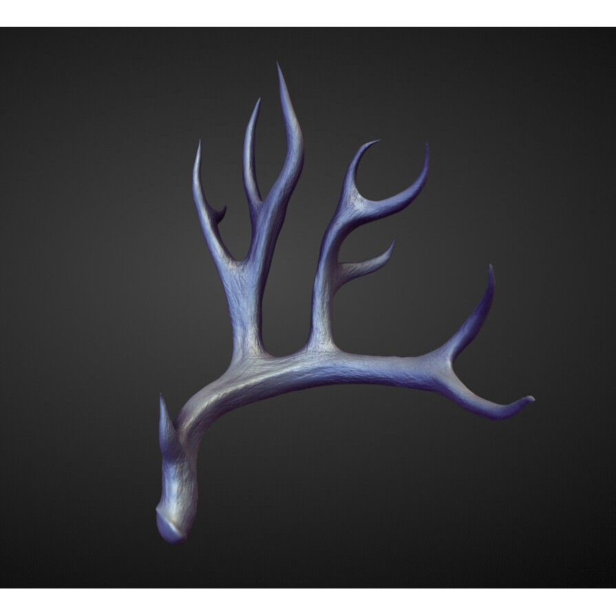 Horns 3D Model – High Poly Sculpt Collection for Blender - View 19