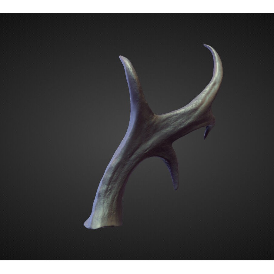 Horns 3D Model – High Poly Sculpt Collection for Blender - View 20
