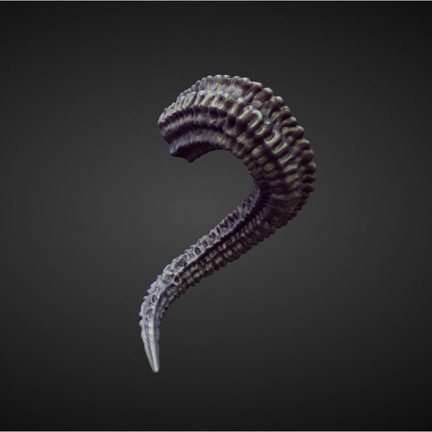 Horns 3D Model – High Poly Sculpt Collection for Blender - View 21