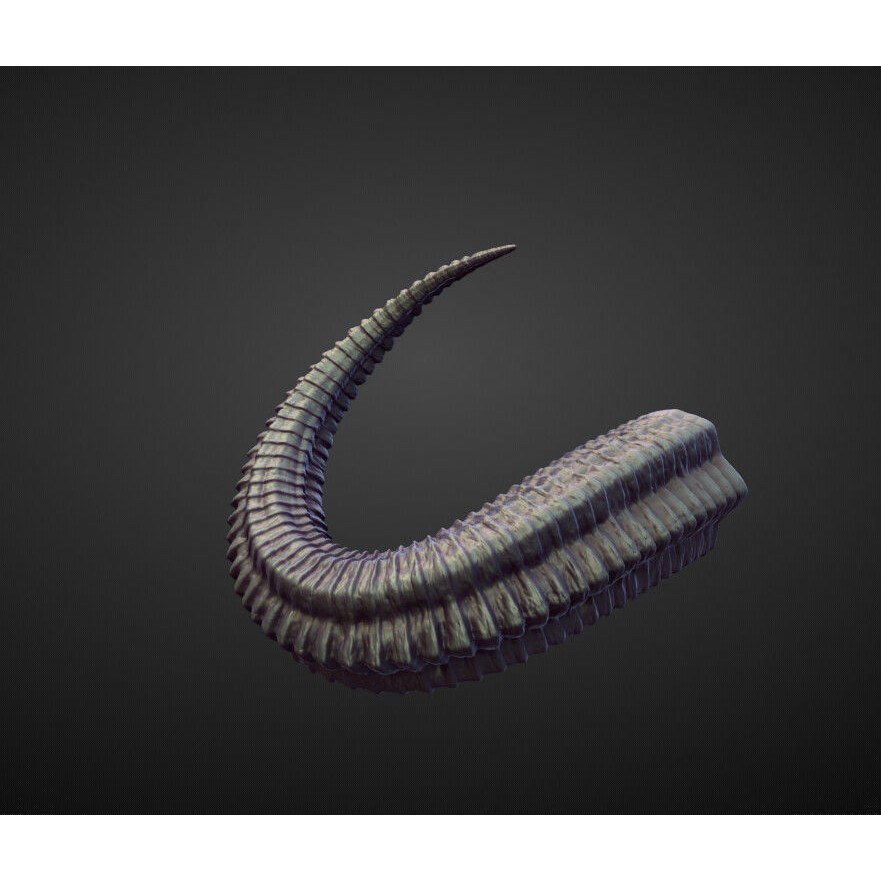 Horns 3D Model – High Poly Sculpt Collection for Blender - View 22