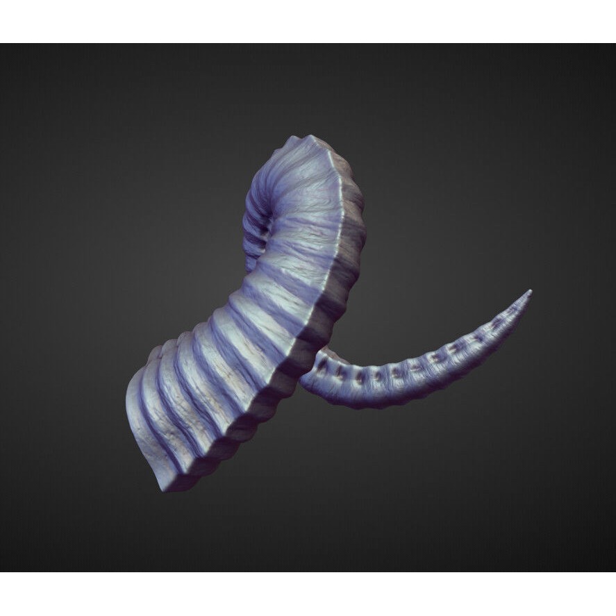 Horns 3D Model – High Poly Sculpt Collection for Blender - View 23