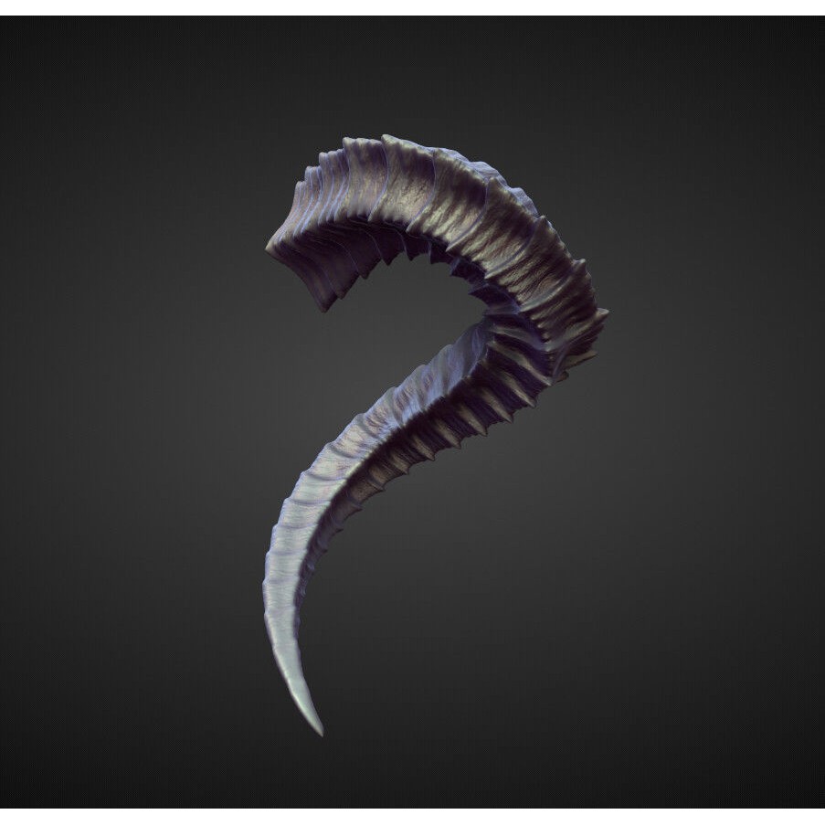 Horns 3D Model – High Poly Sculpt Collection for Blender - View 27