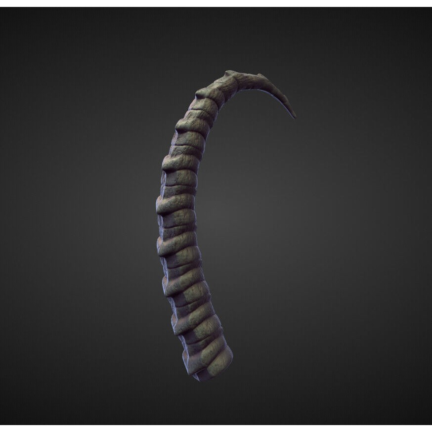 Horns 3D Model – High Poly Sculpt Collection for Blender - View 28