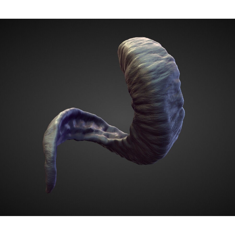 Horns 3D Model – High Poly Sculpt Collection for Blender - View 31