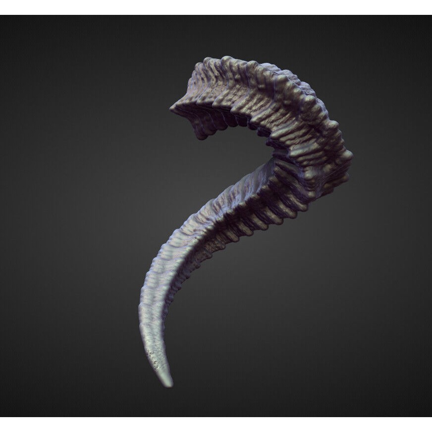 Horns 3D Model – High Poly Sculpt Collection for Blender - View 33