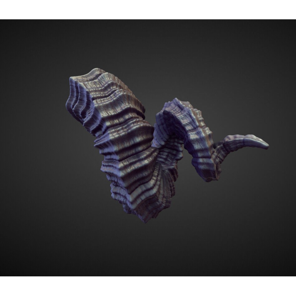 Horns 3D Model – High Poly Sculpt Collection for Blender - View 34