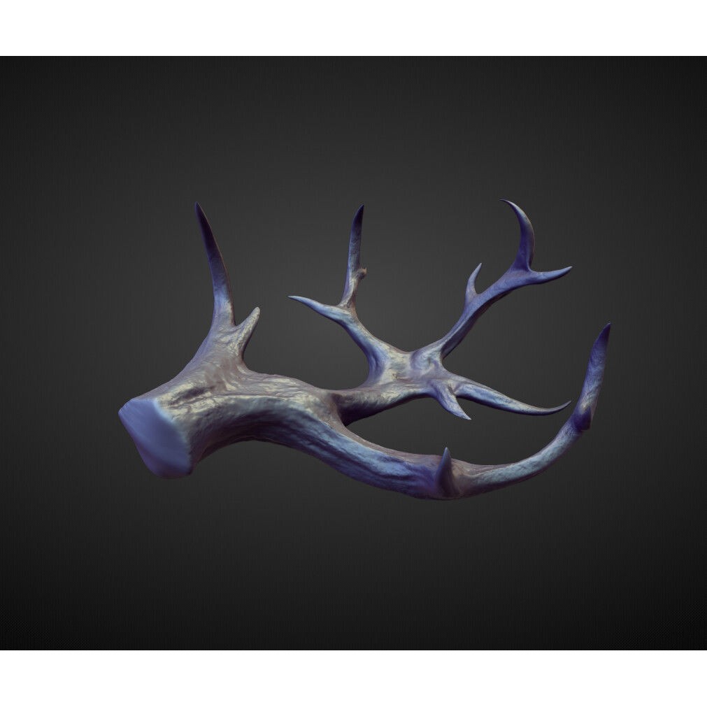 Horns 3D Model – High Poly Sculpt Collection for Blender - View 35