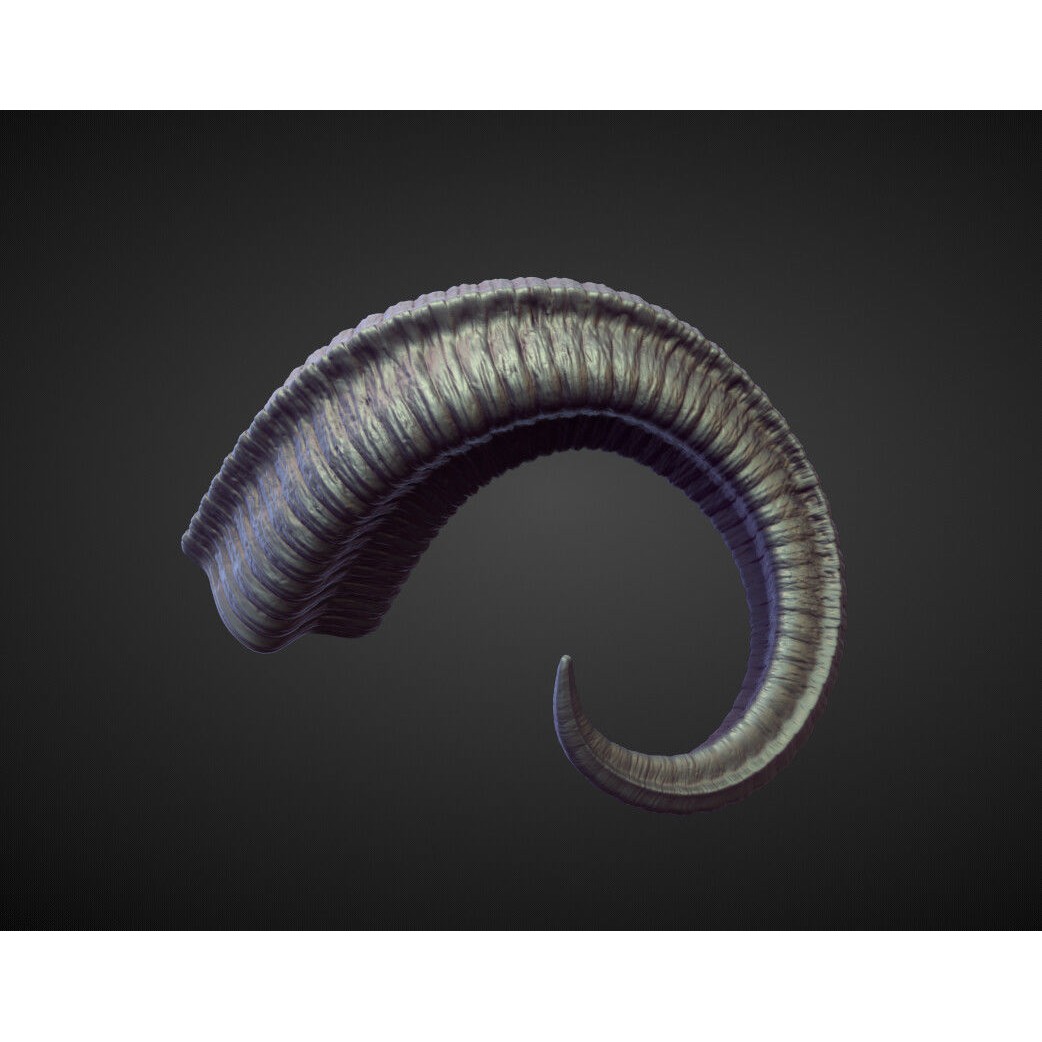 Horns 3D Model – High Poly Sculpt Collection for Blender - View 36