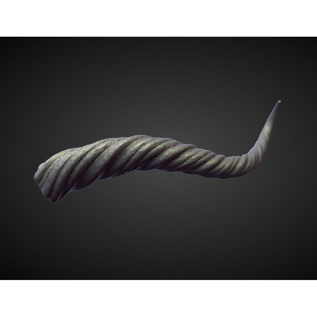 Horns 3D Model – High Poly Sculpt Collection for Blender - View 39