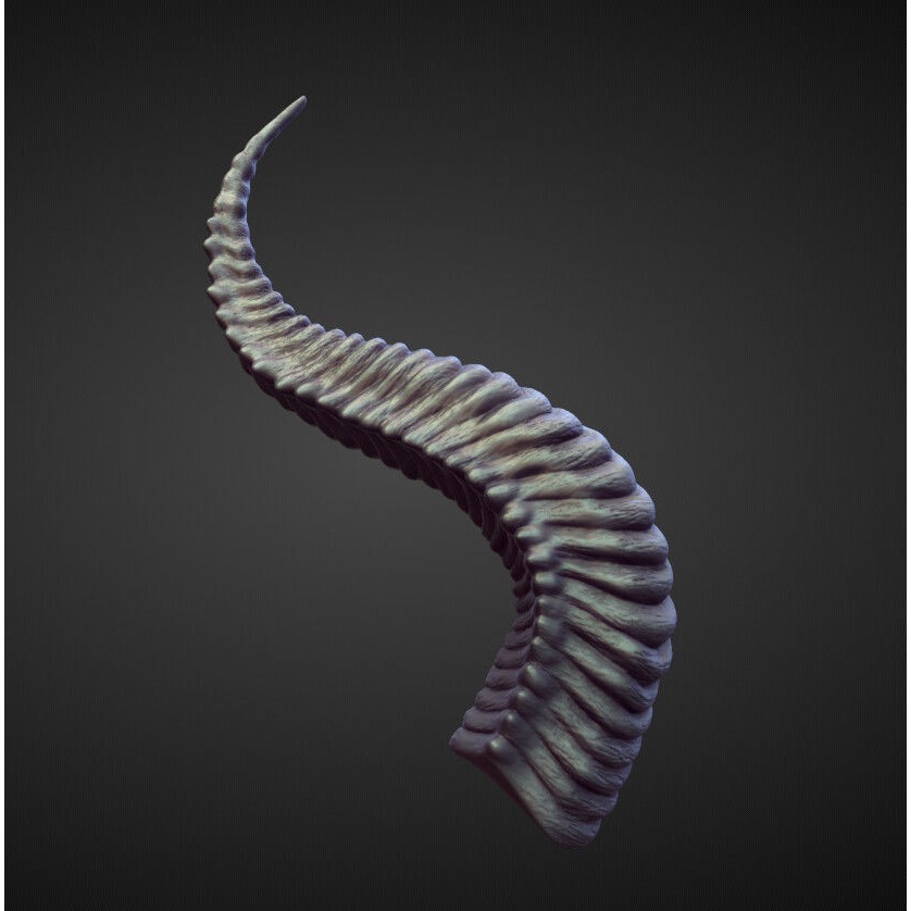 Horns 3D Model – High Poly Sculpt Collection for Blender - View 4