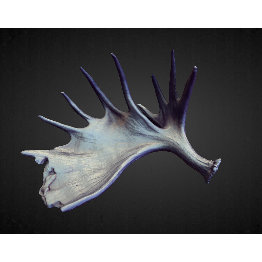 Horns 3D Model – High Poly Sculpt Collection for Blender - View 40