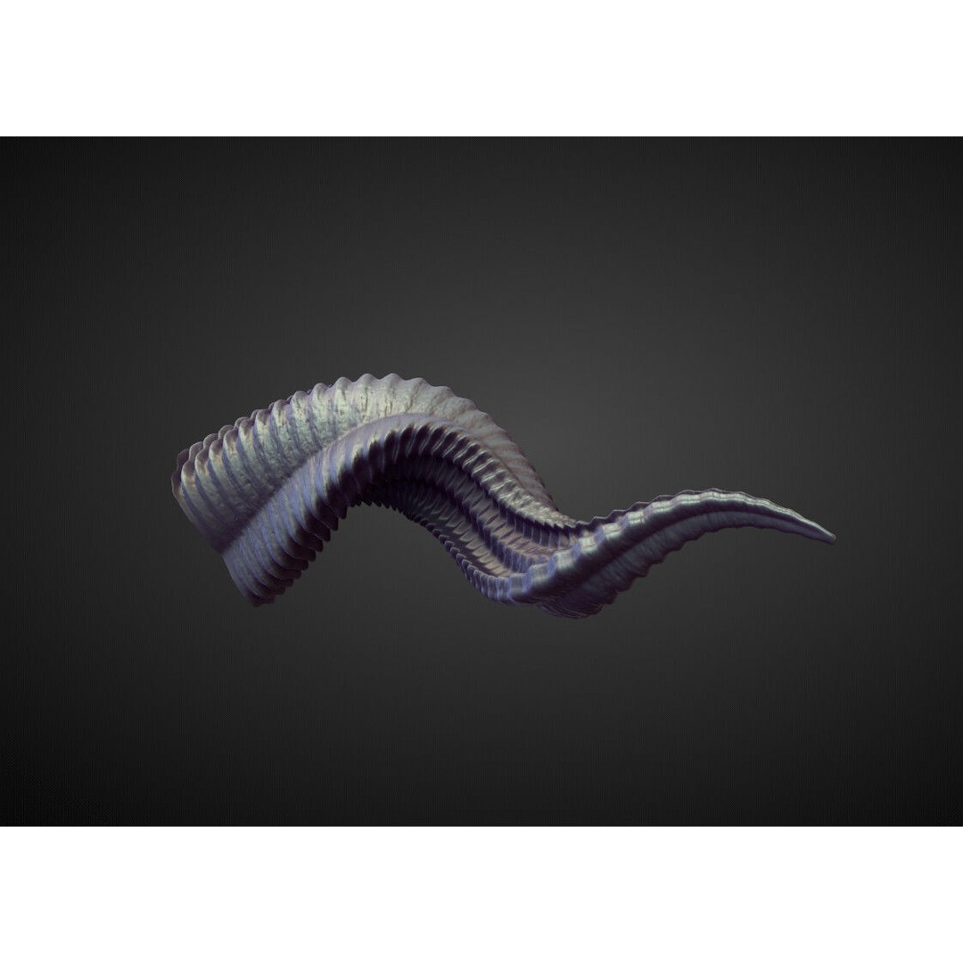Horns 3D Model – High Poly Sculpt Collection for Blender - View 41