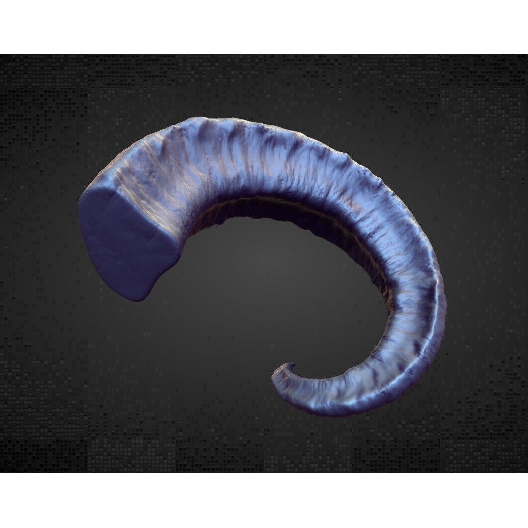 Horns 3D Model – High Poly Sculpt Collection for Blender - View 5
