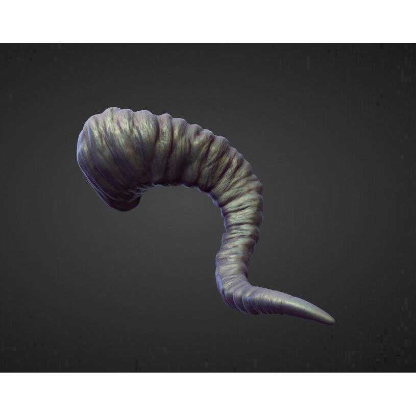 Horns 3D Model – High Poly Sculpt Collection for Blender - View 7