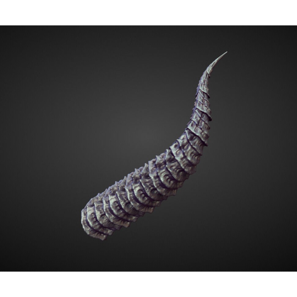Horns 3D Model – High Poly Sculpt Collection for Blender - View 8