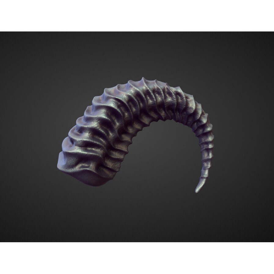 Horns 3D Model – High Poly Sculpt Collection for Blender - View 9