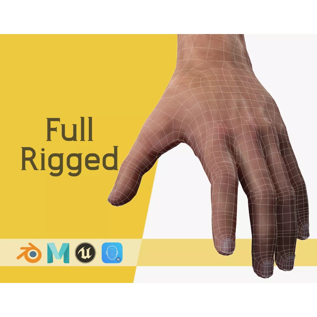 Realistic Hand 3D Model – Low Poly Rigged Character for Games, FBX - View 2