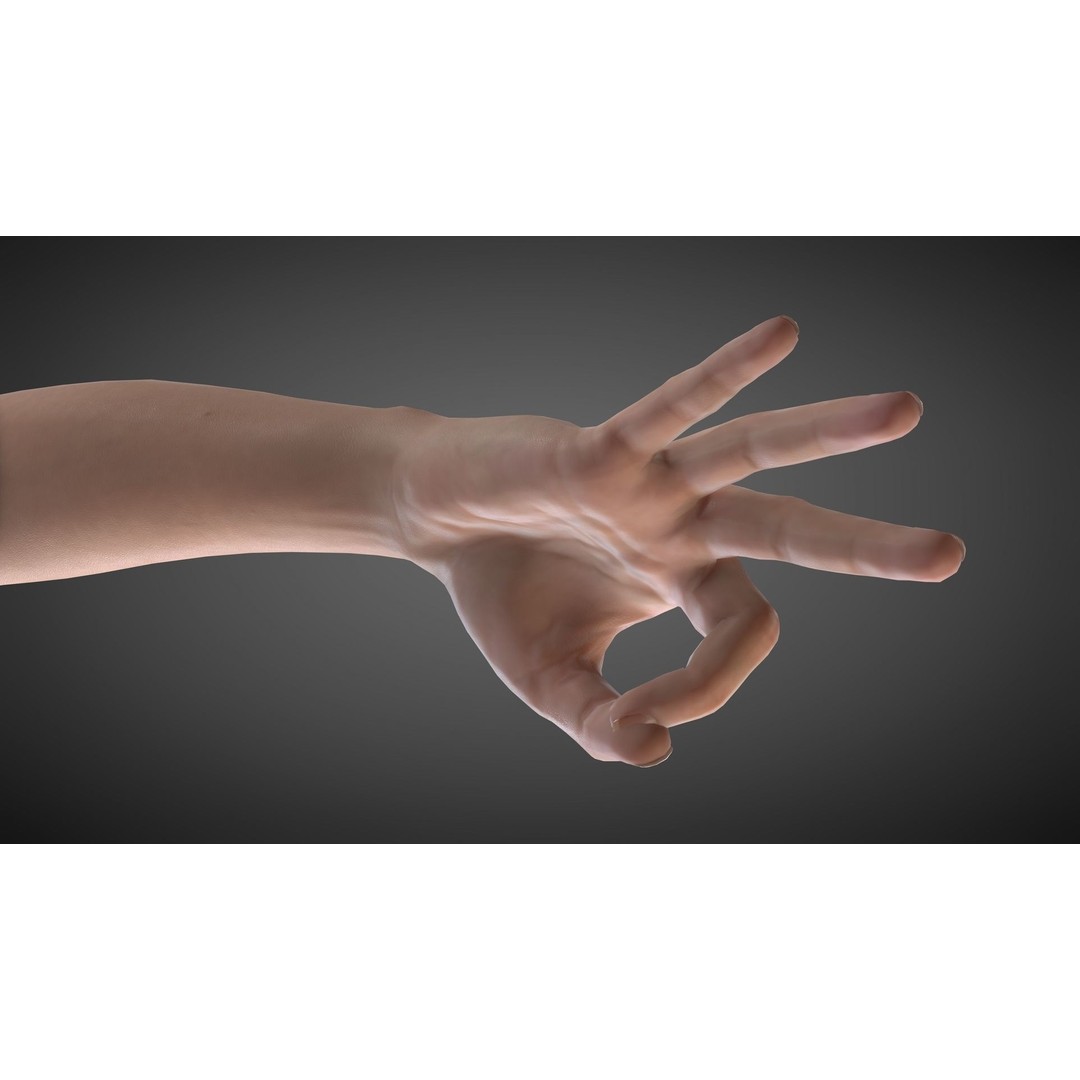 Realistic Hand 3D Model – Rigged for Cinema 4D with Textures - View 12
