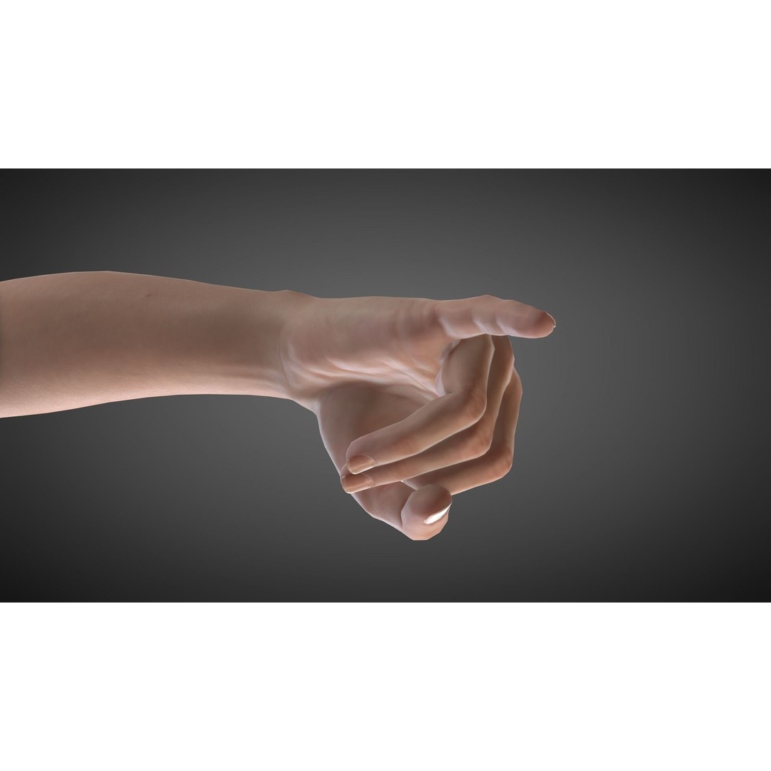 Realistic Hand 3D Model – Rigged for Cinema 4D with Textures - View 13