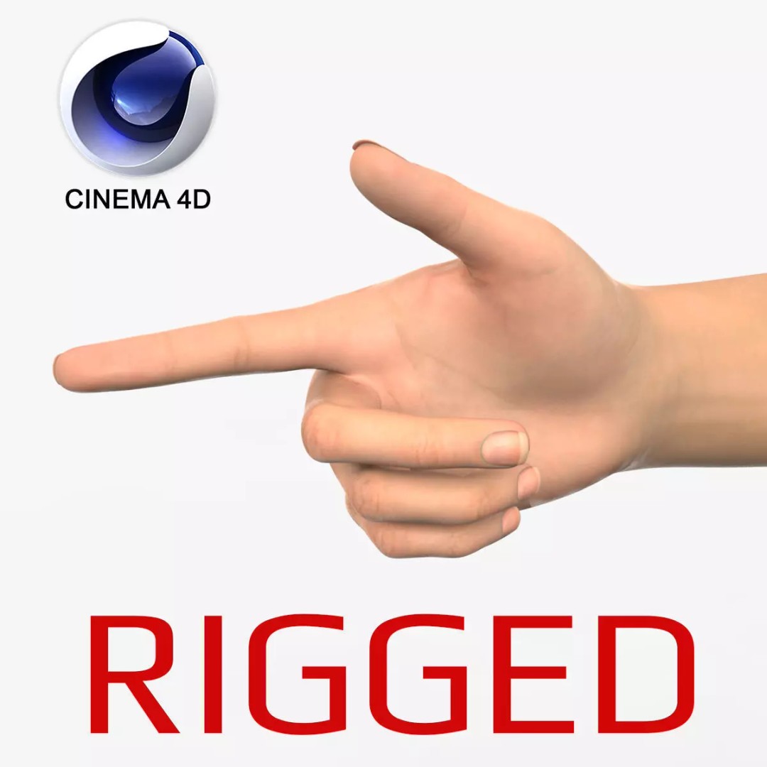 Realistic Hand 3D Model – Rigged for Cinema 4D with Textures - View 2