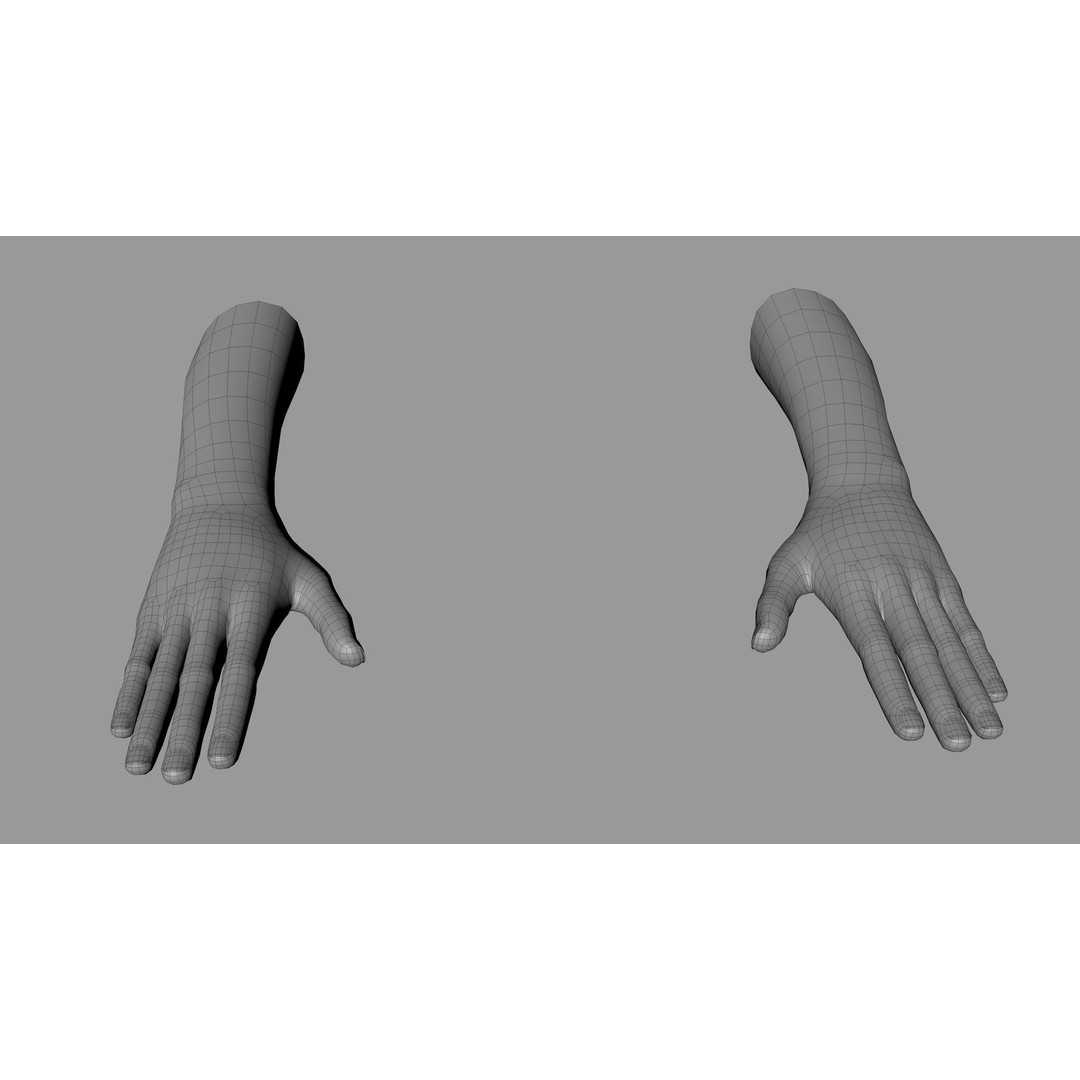 Realistic Hand 3D Model – Rigged for Cinema 4D with Textures - View 22