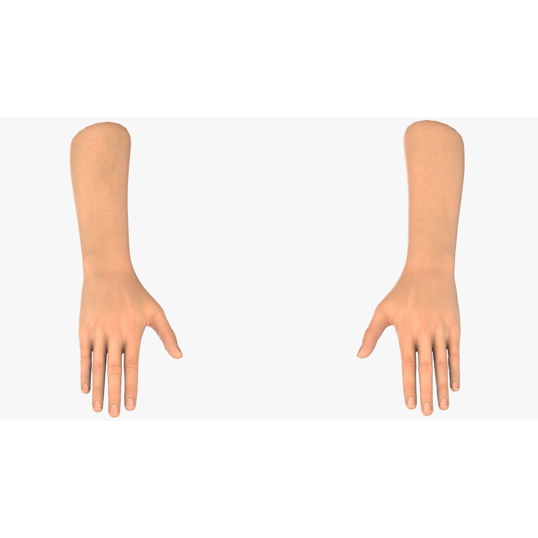 Realistic Hand 3D Model – Rigged for Cinema 4D with Textures - View 3