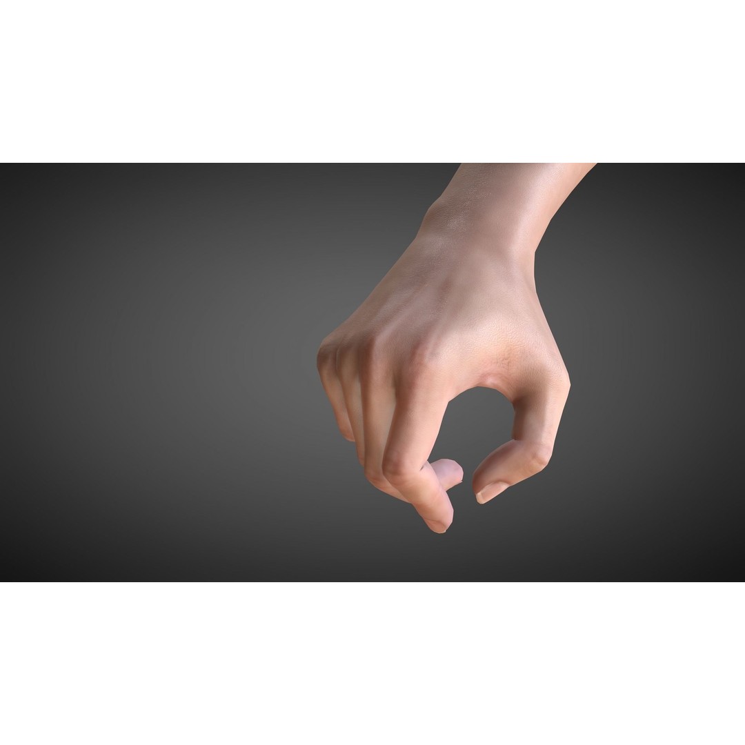 Realistic Hand 3D Model – Rigged for Cinema 4D with Textures - View 6
