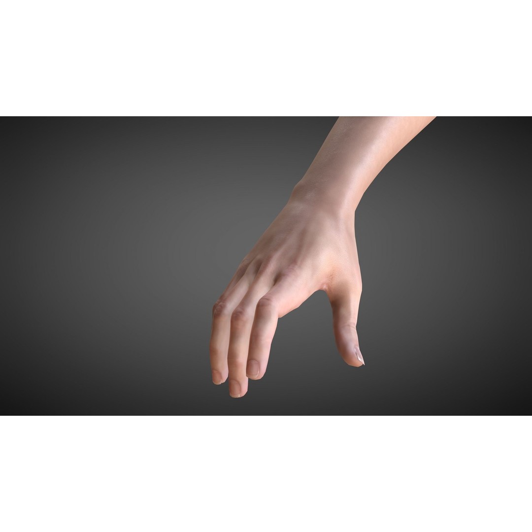 Realistic Hand 3D Model – Rigged for Cinema 4D with Textures - View 7