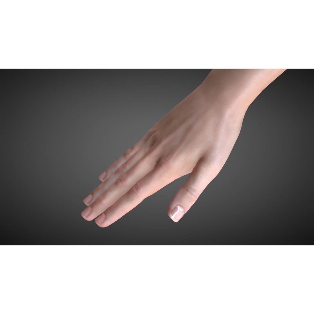 Realistic Hand 3D Model – Rigged for Cinema 4D with Textures - View 8