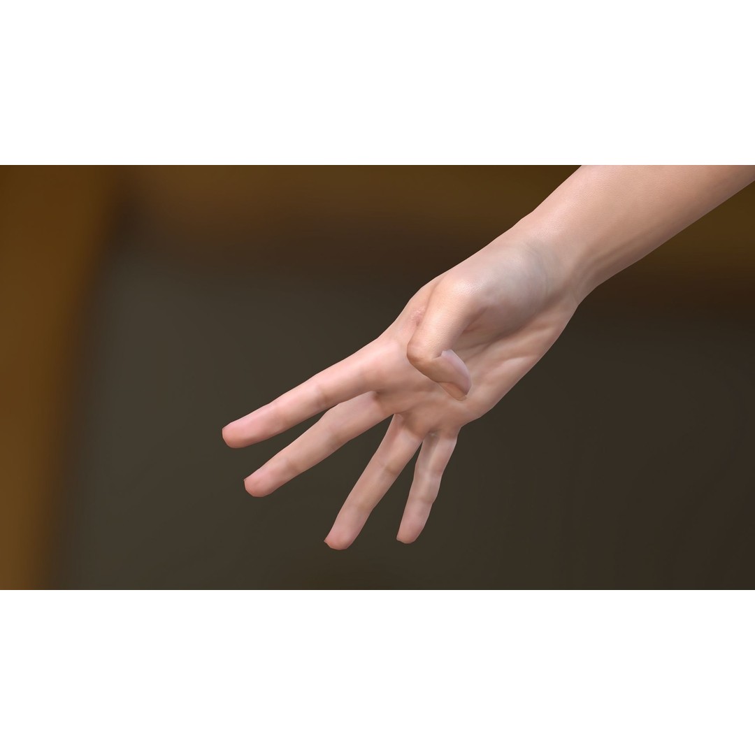 Realistic Hand 3D Model – Rigged for Cinema 4D with Textures - View 9