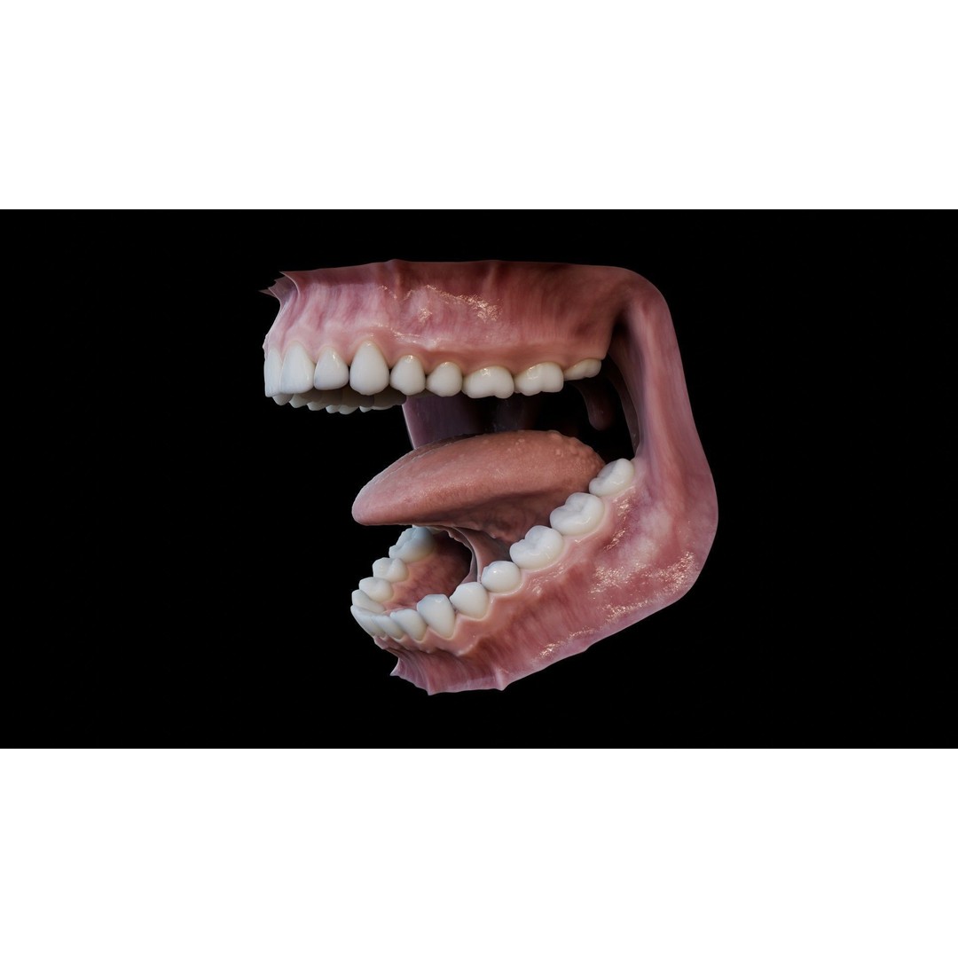 Human Mouth 3D Model – Photorealistic Low Poly Rigged Asset for Blender and 3ds Max - View 10