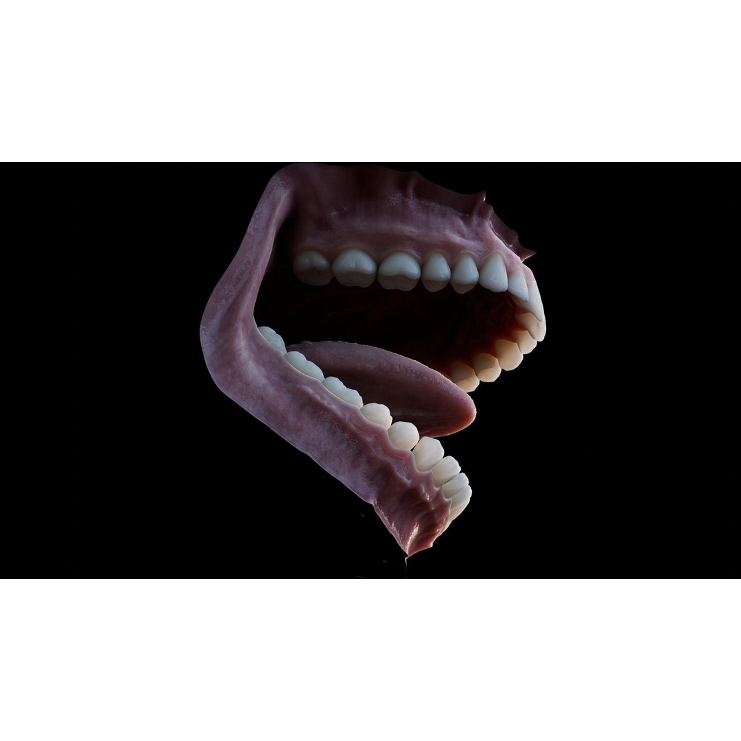 Human Mouth 3D Model – Photorealistic Low Poly Rigged Asset for Blender and 3ds Max - View 11