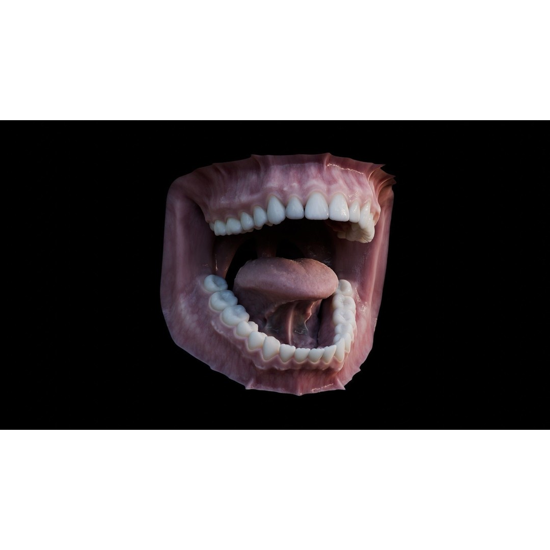 Human Mouth 3D Model – Photorealistic Low Poly Rigged Asset for Blender and 3ds Max - View 12