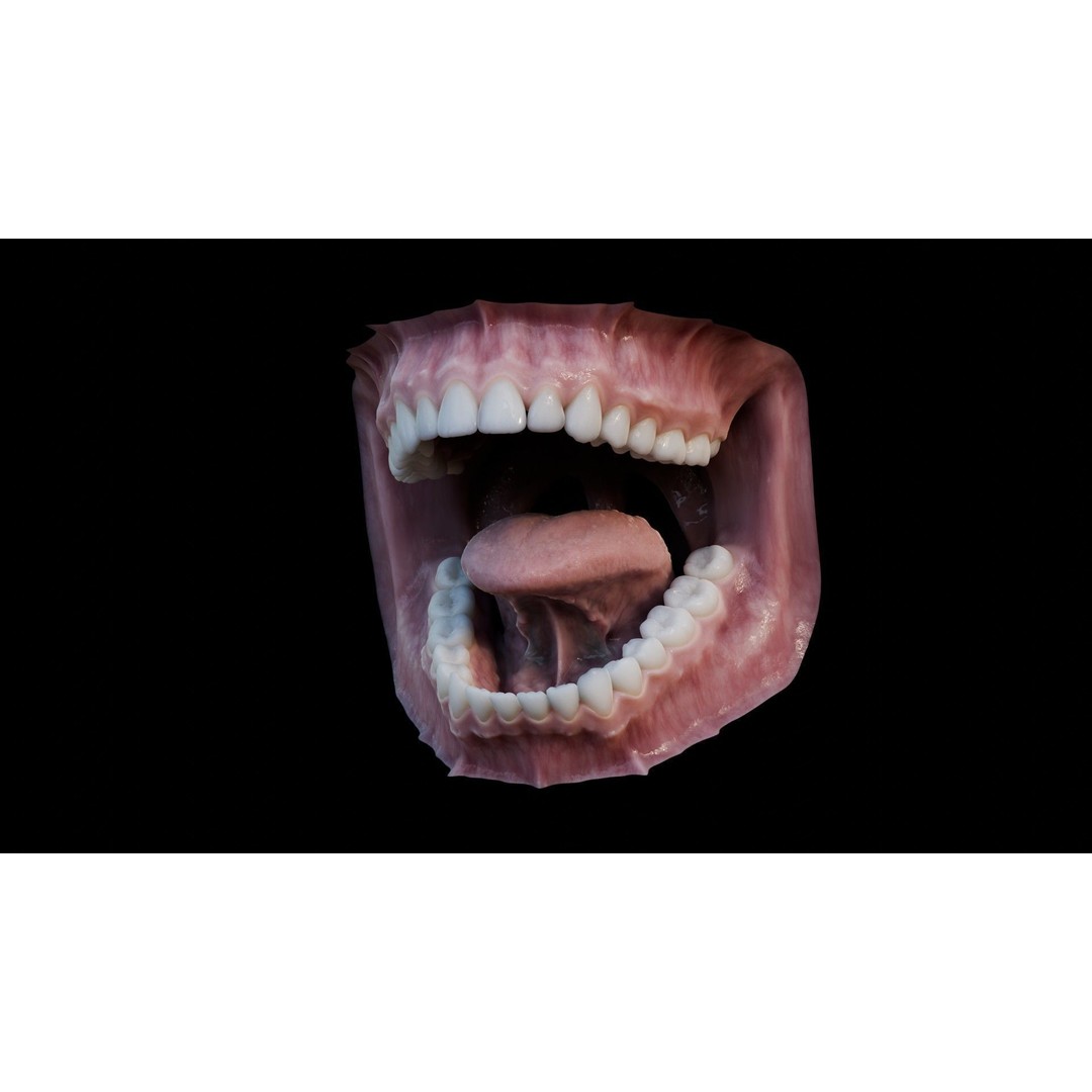 Human Mouth 3D Model – Photorealistic Low Poly Rigged Asset for Blender and 3ds Max - View 13