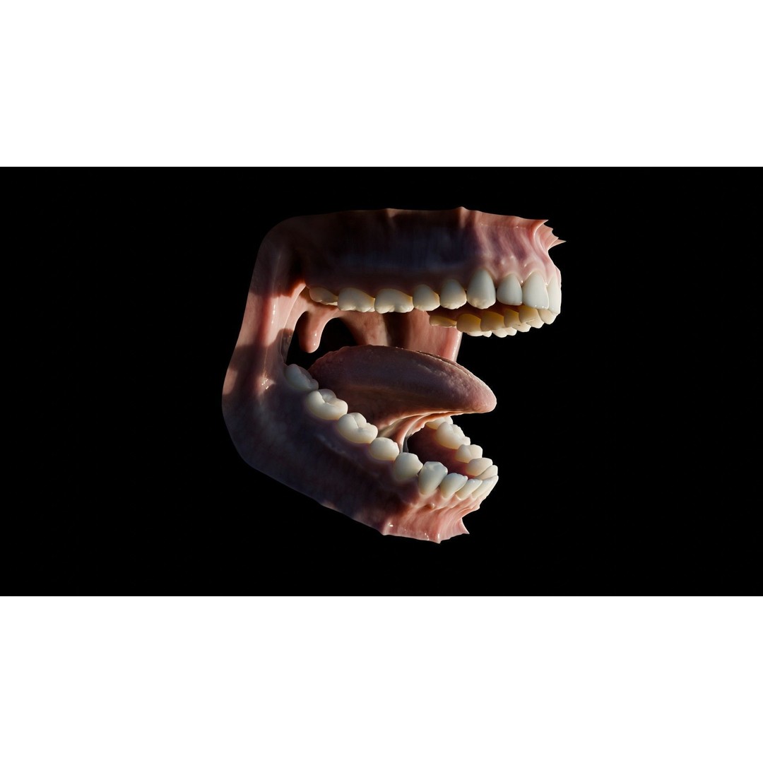 Human Mouth 3D Model – Photorealistic Low Poly Rigged Asset for Blender and 3ds Max - View 16