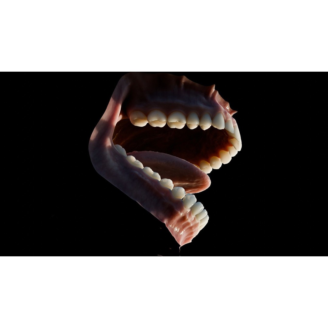 Human Mouth 3D Model – Photorealistic Low Poly Rigged Asset for Blender and 3ds Max - View 18