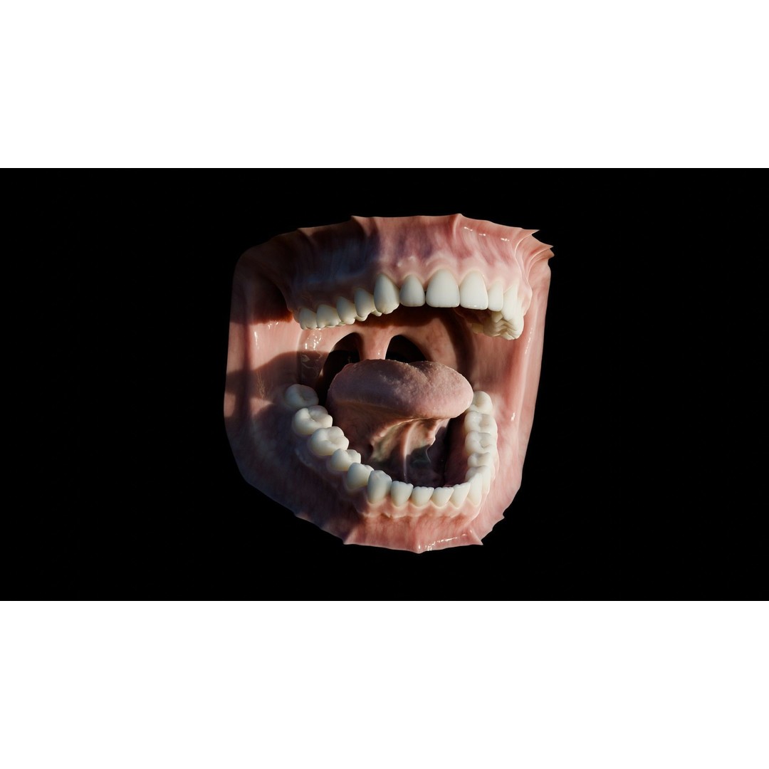 Human Mouth 3D Model – Photorealistic Low Poly Rigged Asset for Blender and 3ds Max - View 19